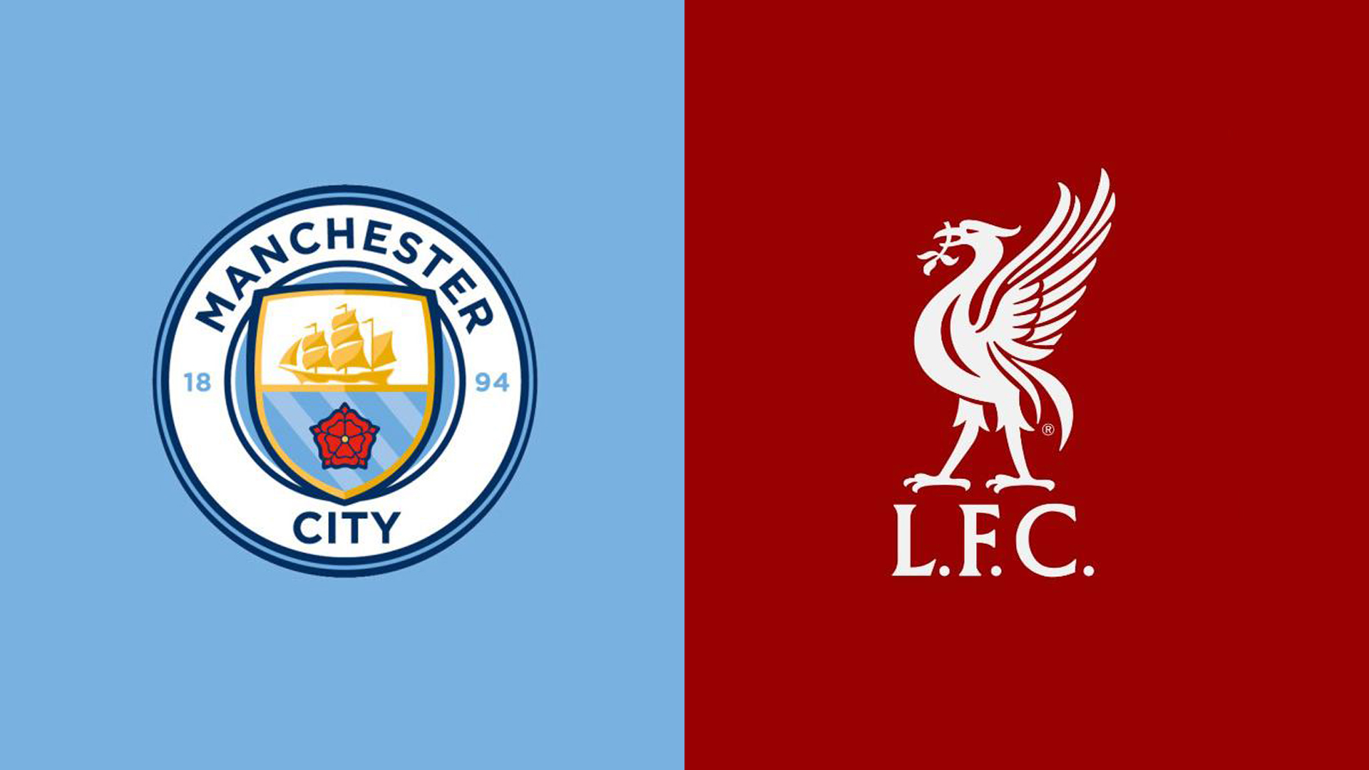 加豐富的動 加豐富的動